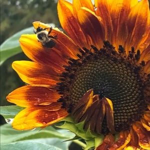 Meet your Posher, Deanna